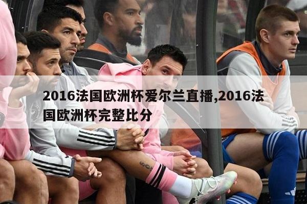 2016法国欧洲杯爱尔兰直播,2016法国欧洲杯完整比分