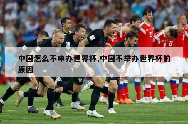 中国怎么不申办世界杯,中国不举办世界杯的原因