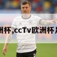 cctv欧洲杯,ccTv欧洲杯足球直播