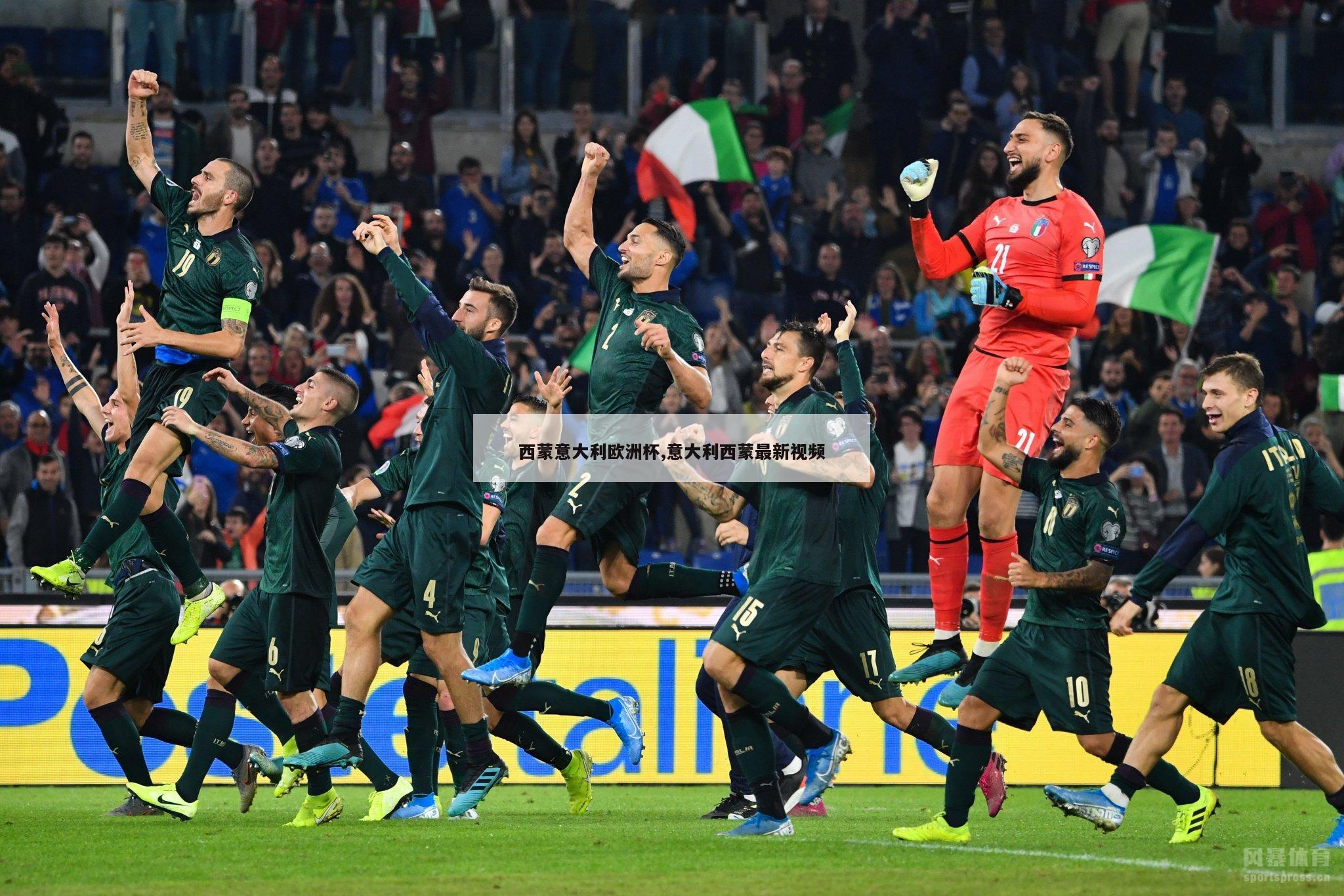 西蒙意大利欧洲杯,意大利西蒙最新视频