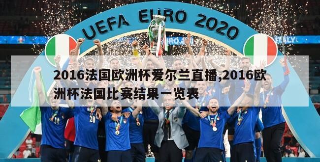 2016法国欧洲杯爱尔兰直播,2016欧洲杯法国比赛结果一览表