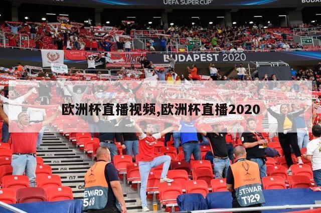 欧洲杯直播视频,欧洲杯直播2020