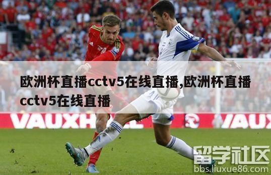 欧洲杯直播cctv5在线直播,欧洲杯直播cctv5在线直播