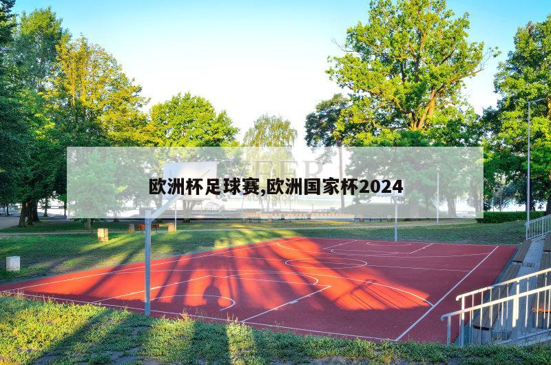 欧洲杯足球赛,欧洲国家杯2024