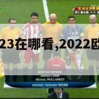 欧洲杯2023在哪看,2022欧洲杯在哪看